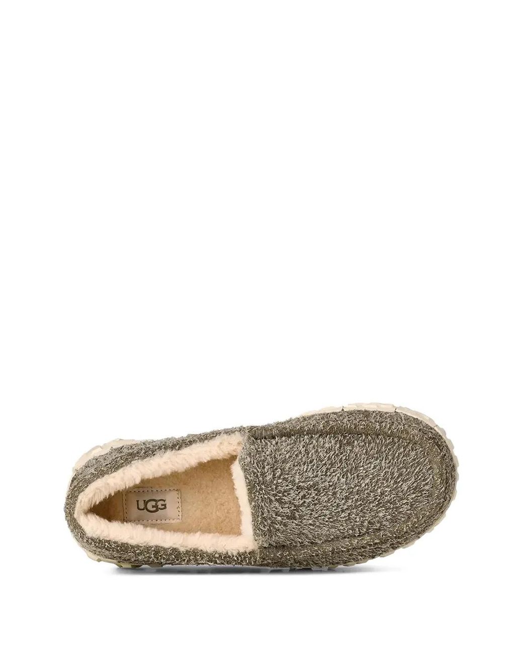 Ugg Green Ascot Pull Tab for men