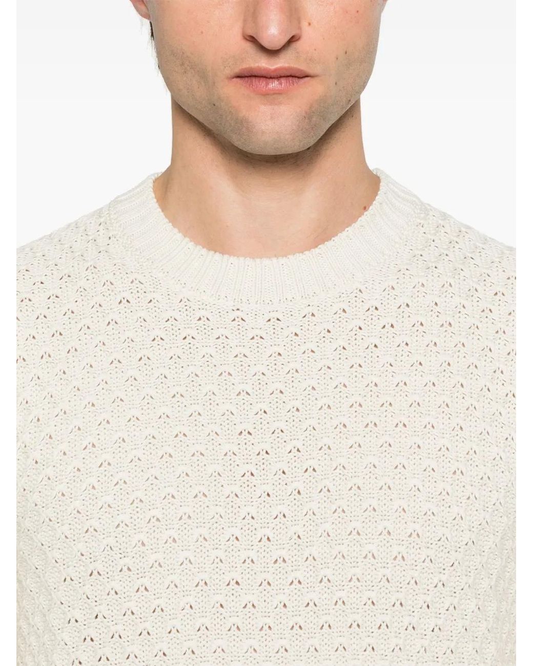 Canali Natural Sweaters for men