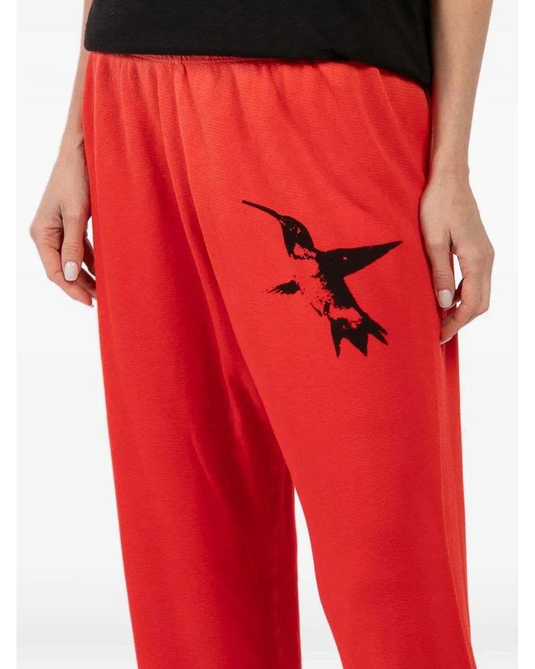 Freecity Red Hummingbird Studded Trousers