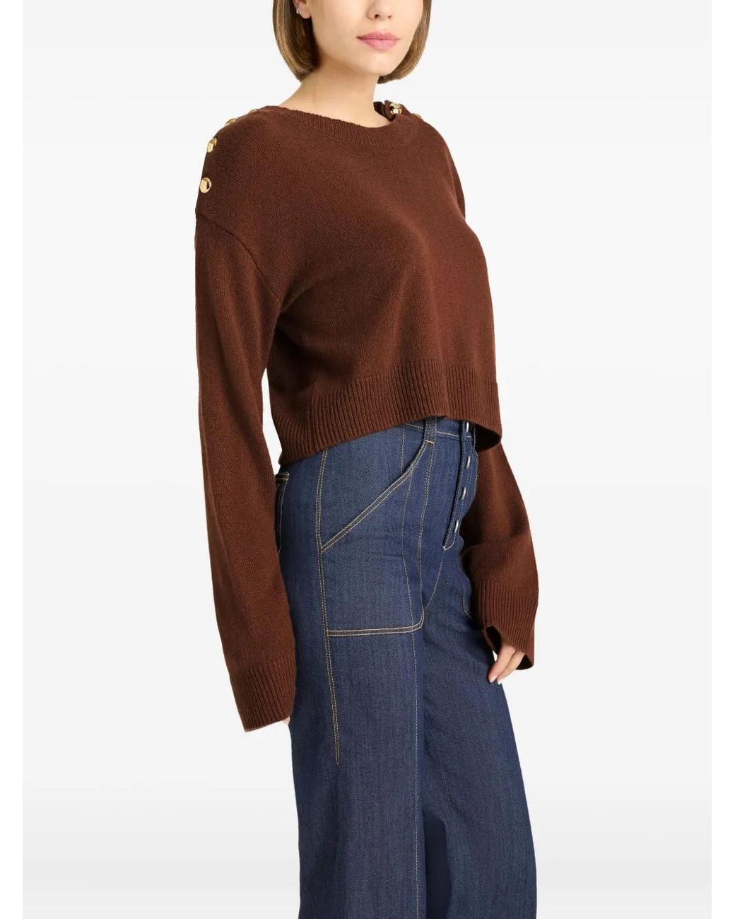 Cinq À Sept Brown Marla Buttoned Sweater