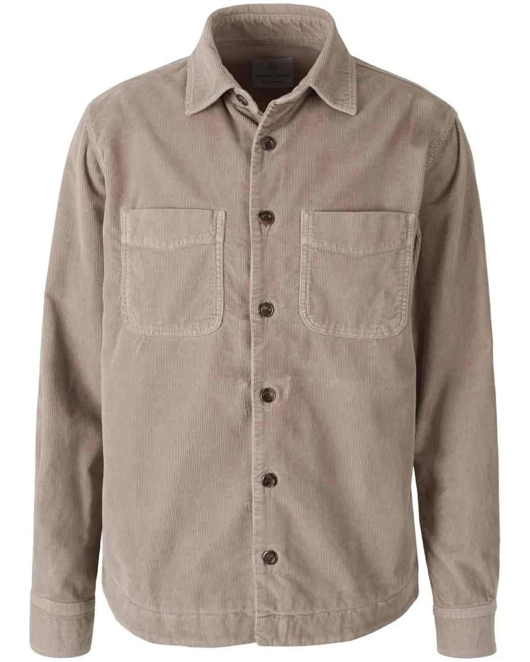 richard j. brown Brown Cotton Shirt for men