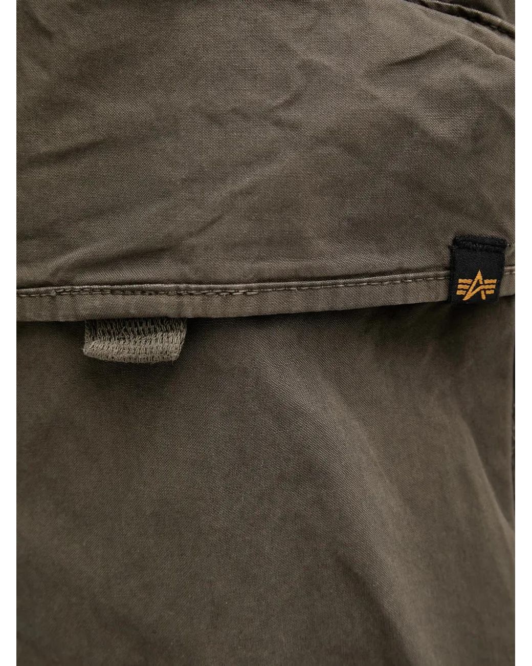 Alpha Industries Gray Drawstring-Waist Cargo Pants for men