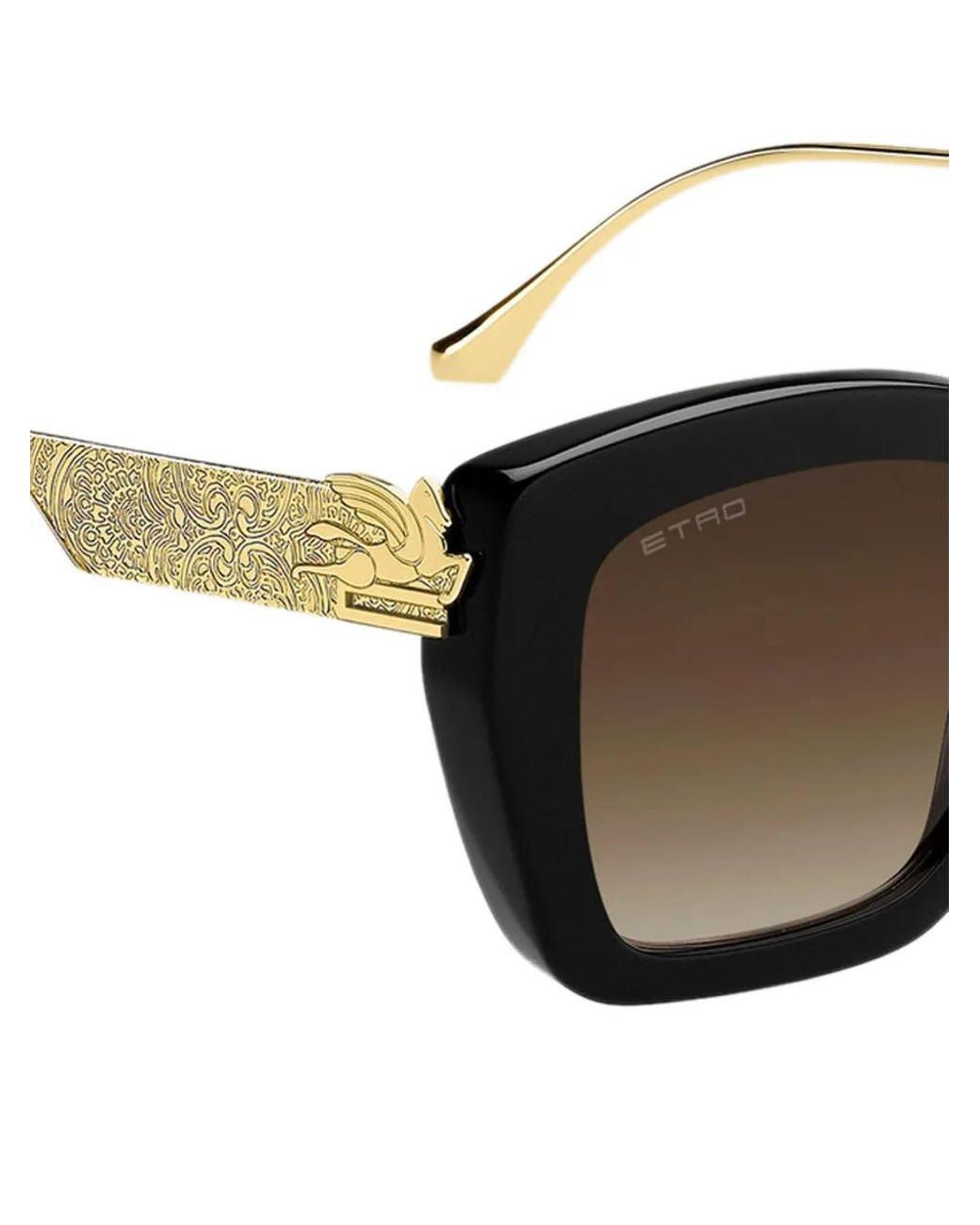 Etro Brown Bold Square Acetate Sunglasses
