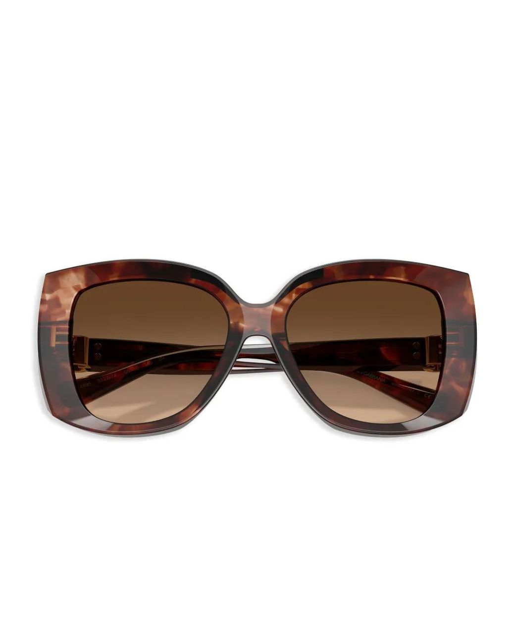 Dolce & Gabbana Brown Oversize-Frame Sunglasses