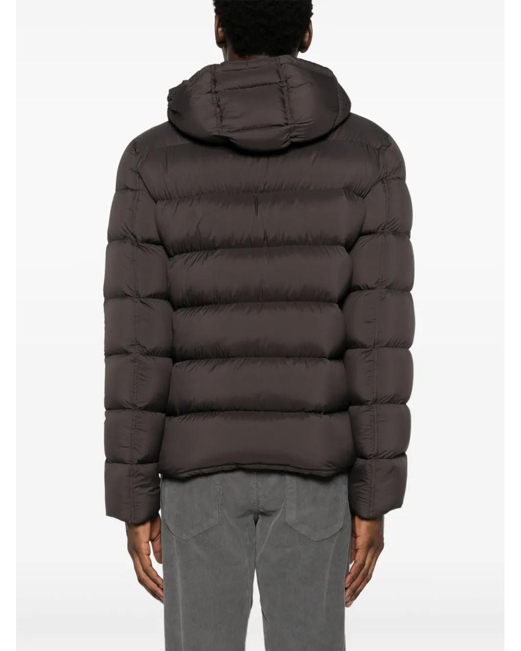 Herno Gray Hooded Padded Down Jacket for men