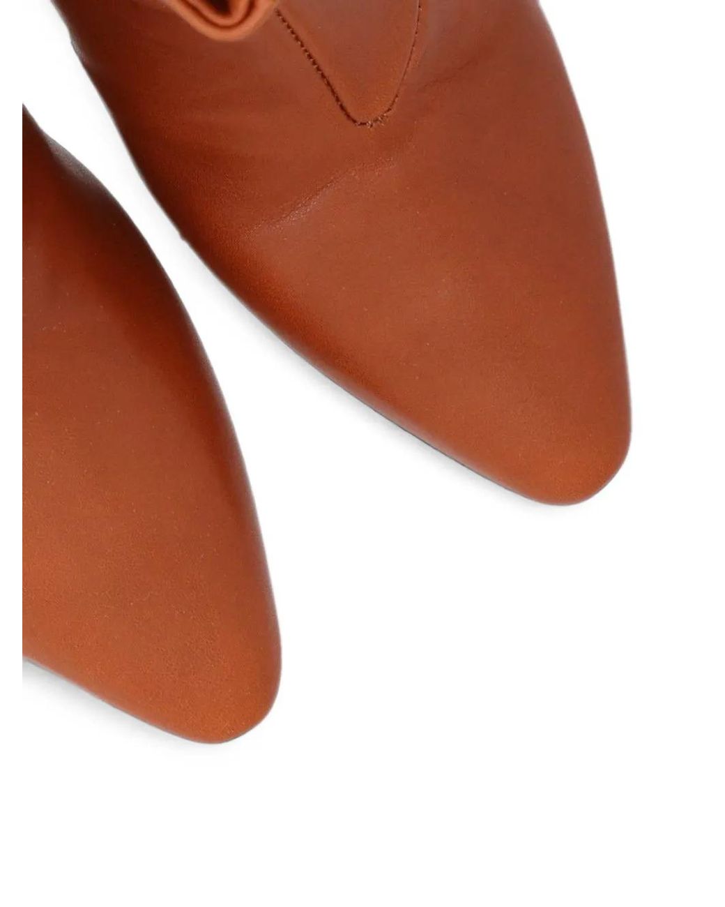 Forte_forte Brown Pointed-Toe Ankle Boots