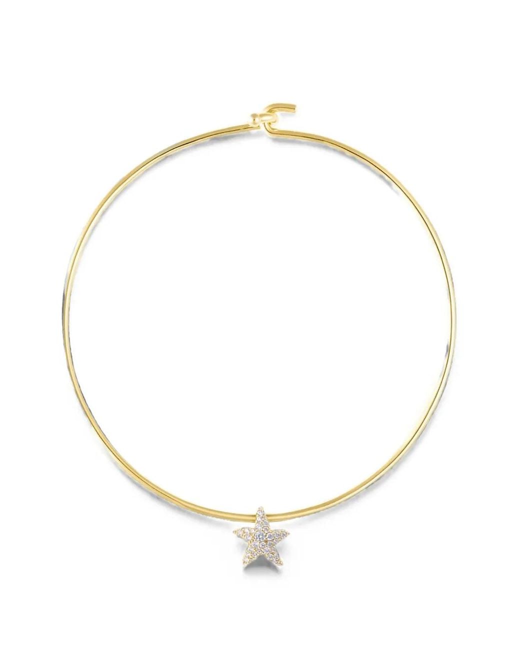 Eshvi Metallic Starfish Necklace