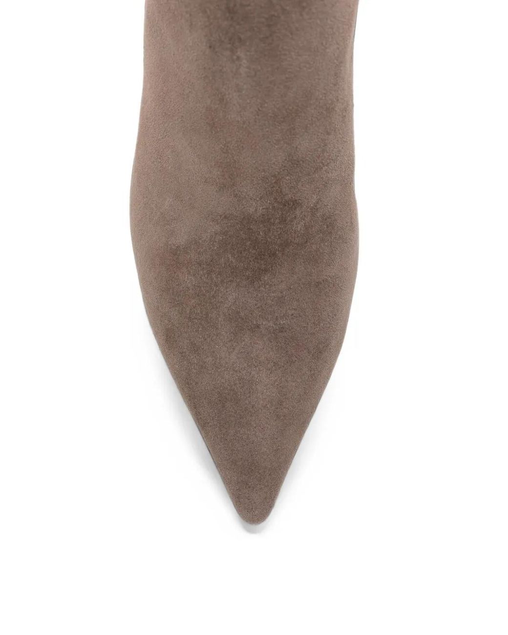 Bibi Lou Brown Saint Pointed-Toe Suede Ankle Boots
