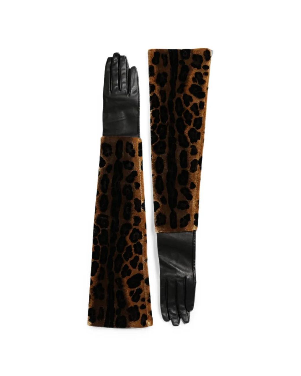 Dolce & Gabbana Black Leopard-Print Panelled Gloves