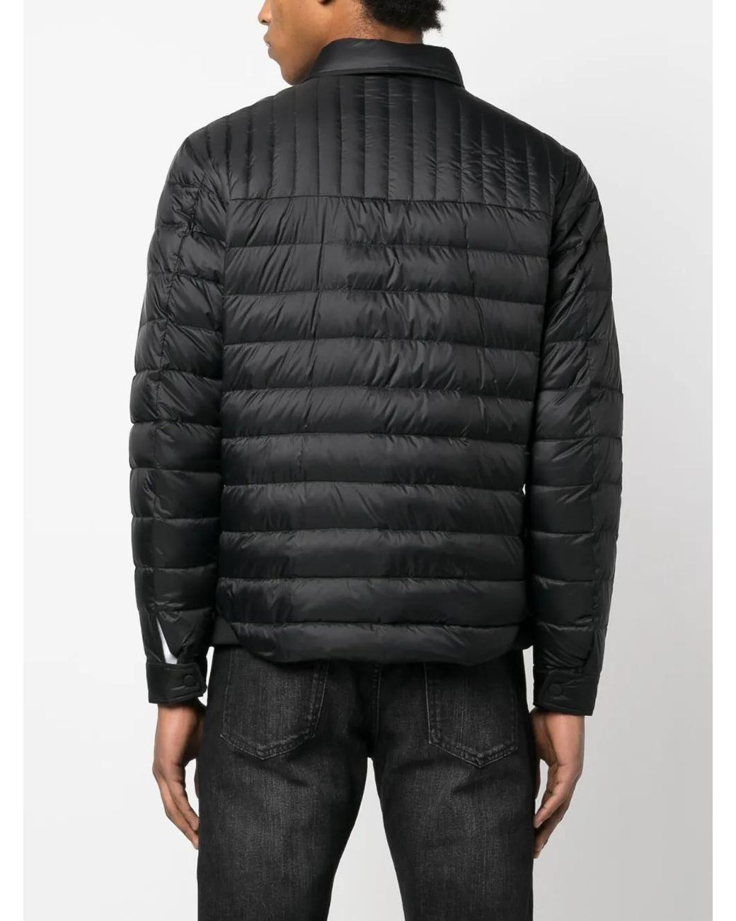 Kiton Gewatteerd Jack in het Black voor heren