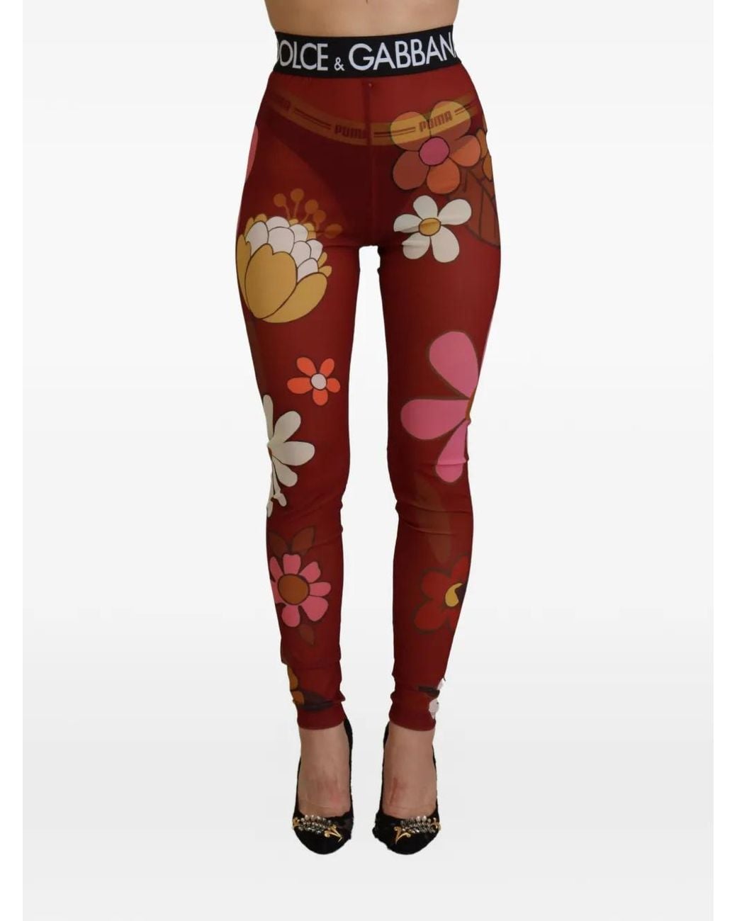 Dolce & Gabbana Red Floral-Print Mesh Leggings