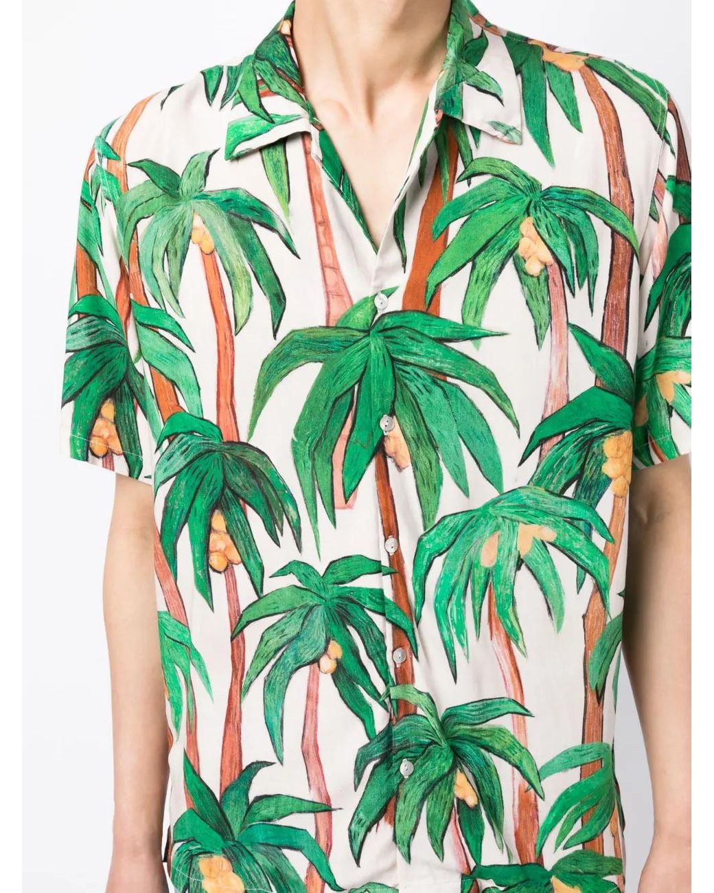 Endless Joy Overhemd Met Palmboomprint in het Green voor heren