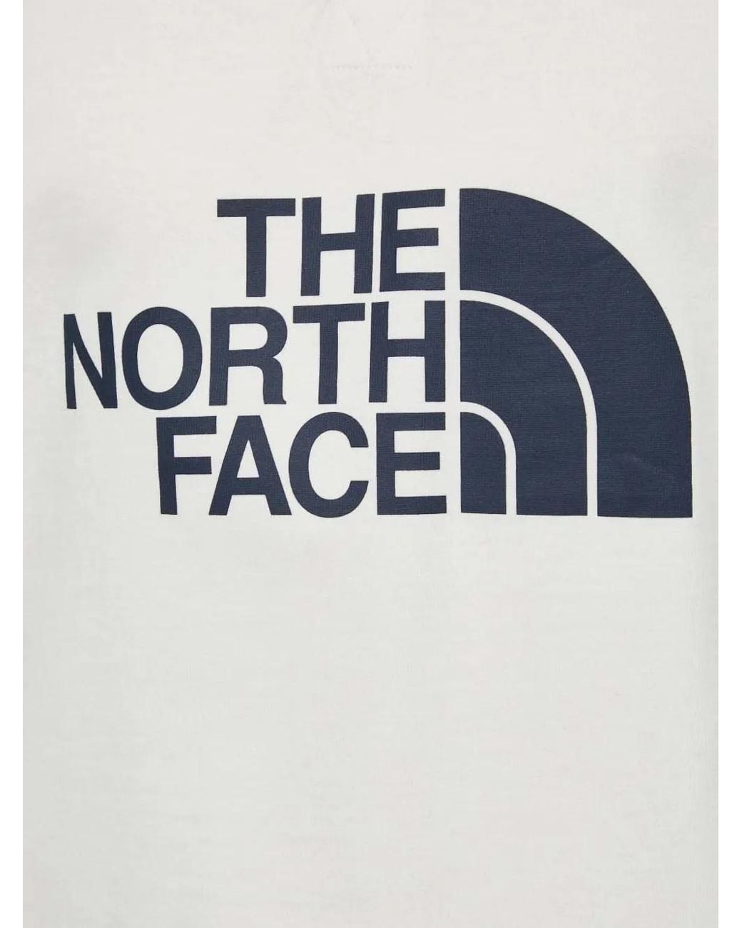 The North Face Gray Striped-Arm Logo-Print Polo Shirt for men