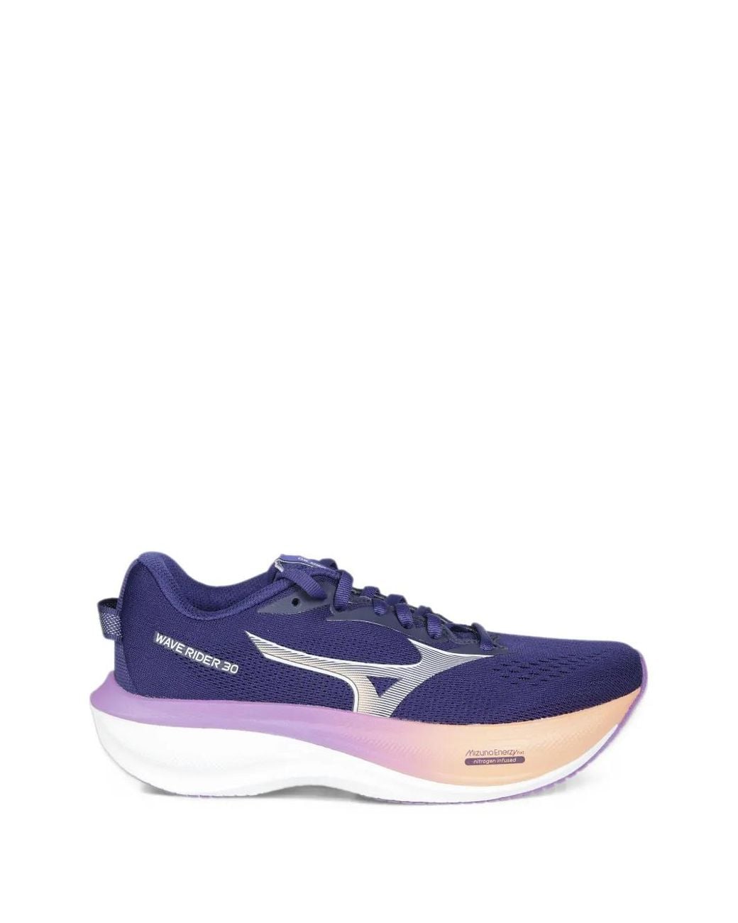Mizuno Blue Wave Rider 30 Sneakers