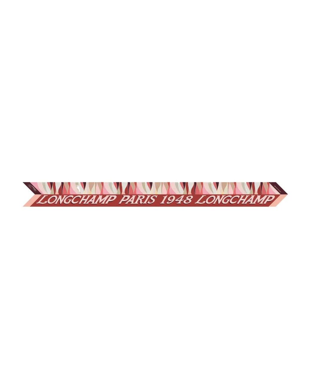 Longchamp Pink Patterned Scarf