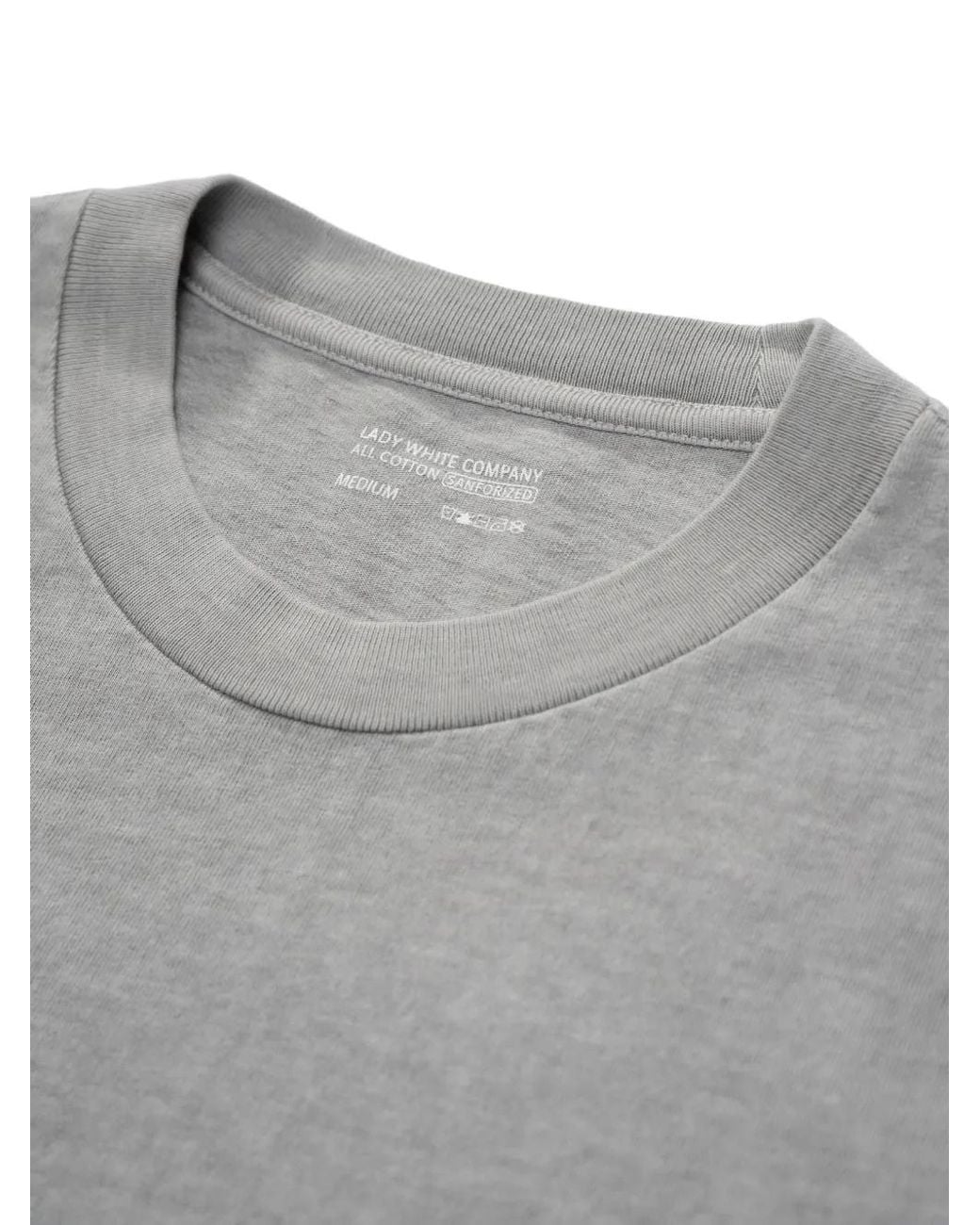 Lady White Co. Gray Municipal T-Shirt for men