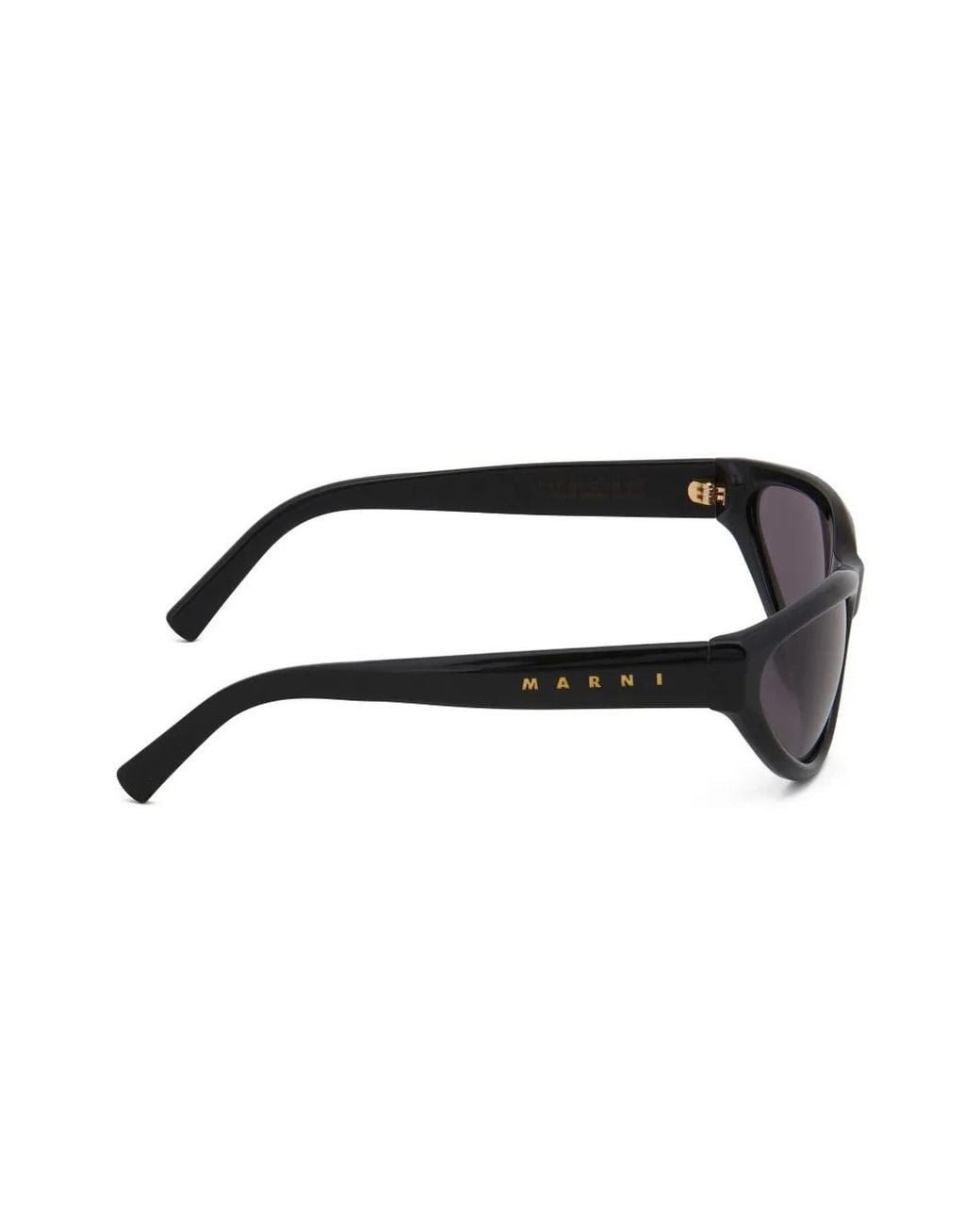 Marni Brown Mavericks Cat-Eye Sunglasses