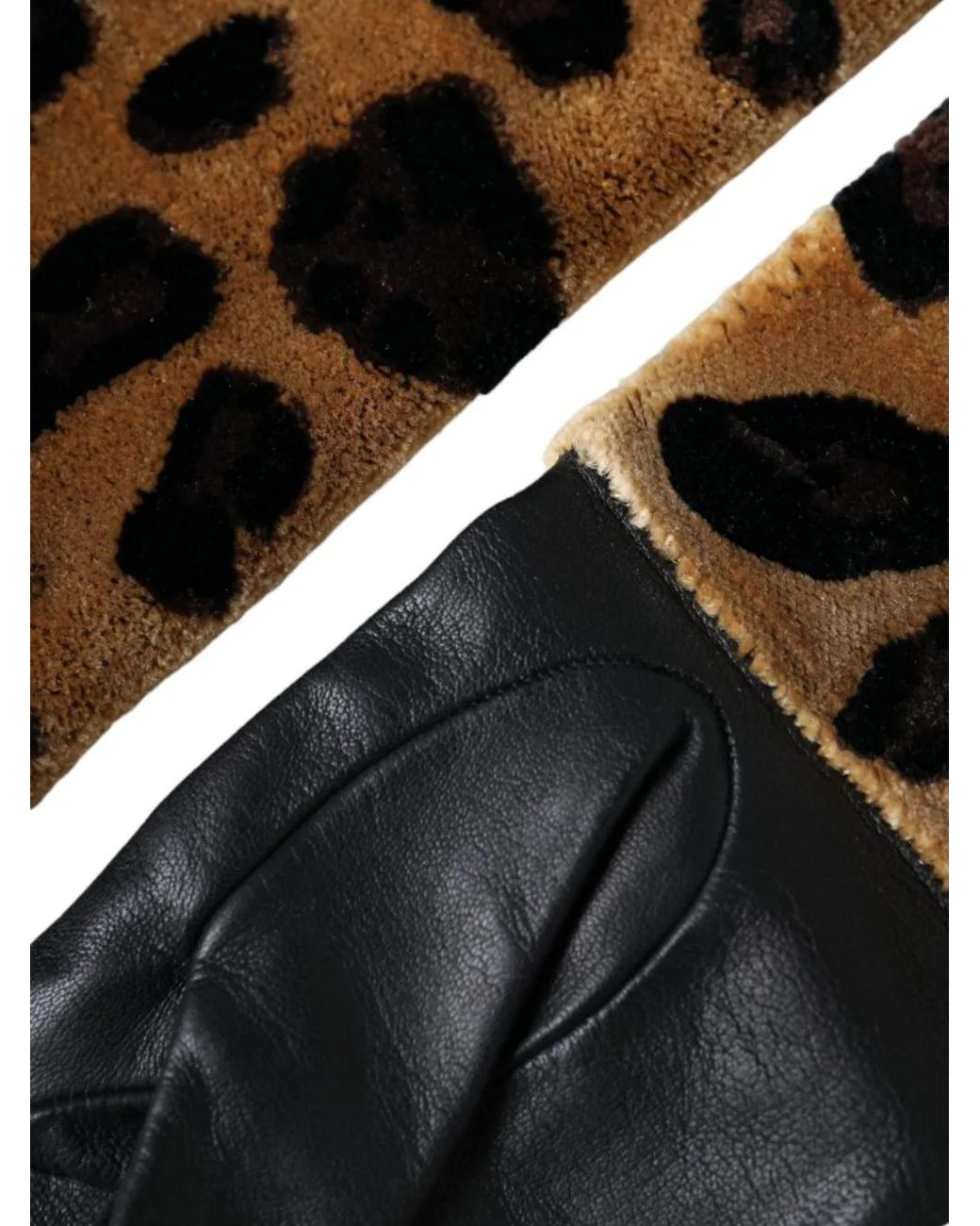 Dolce & Gabbana Black Leopard-Print Panelled Gloves