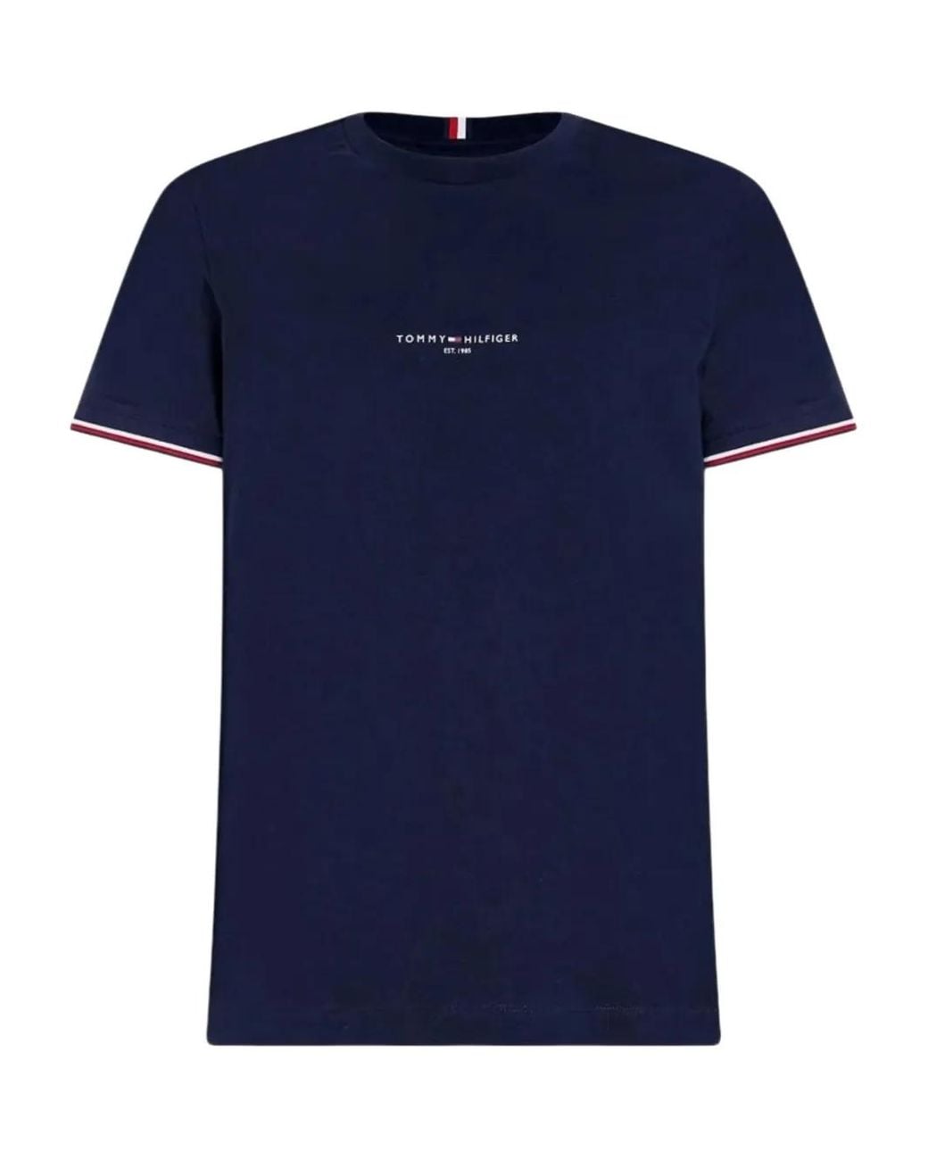 Tommy Hilfiger Blue Striped-Tipping T-Shirt for men