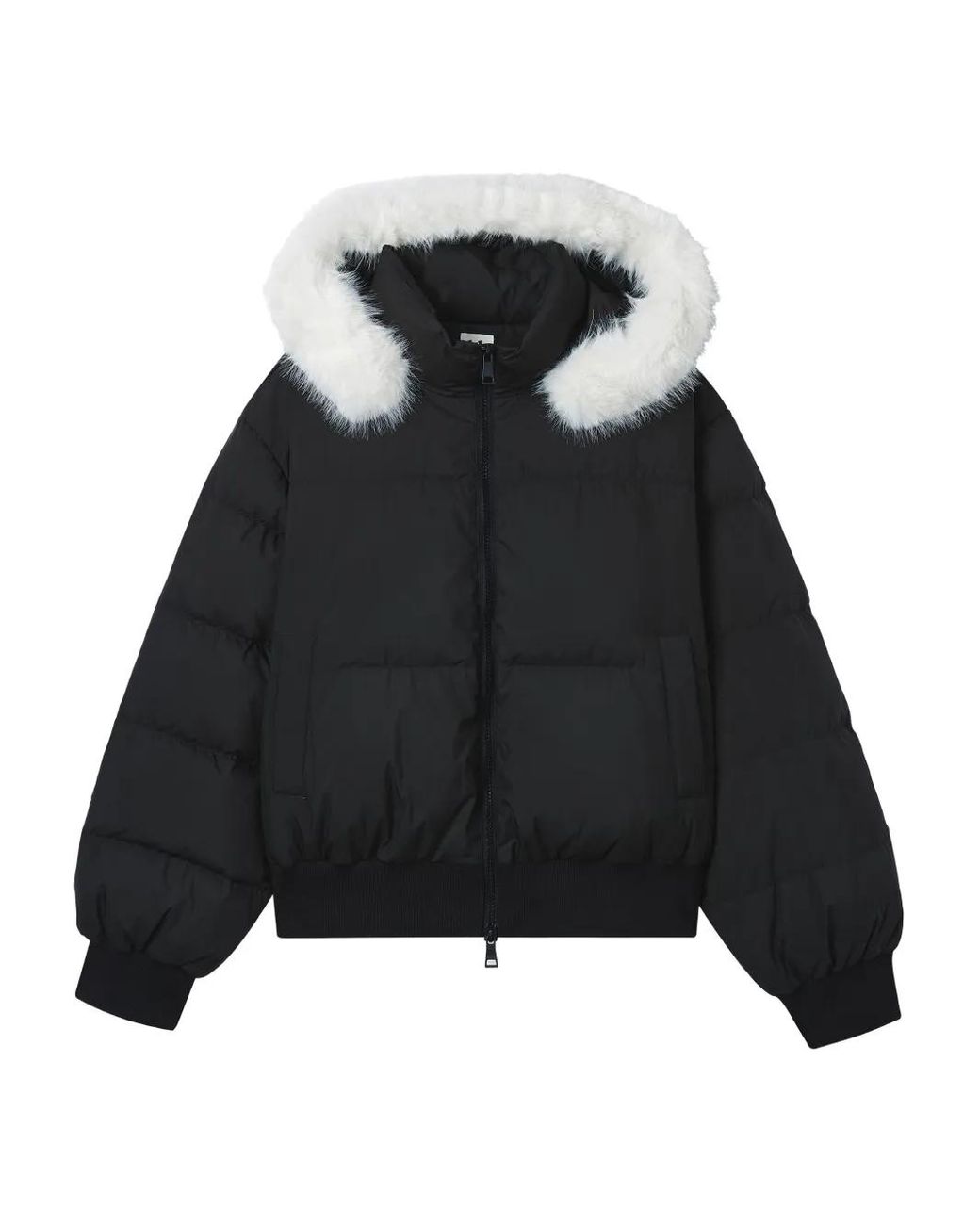 B+ AB Black Hooded Puffer Jacket