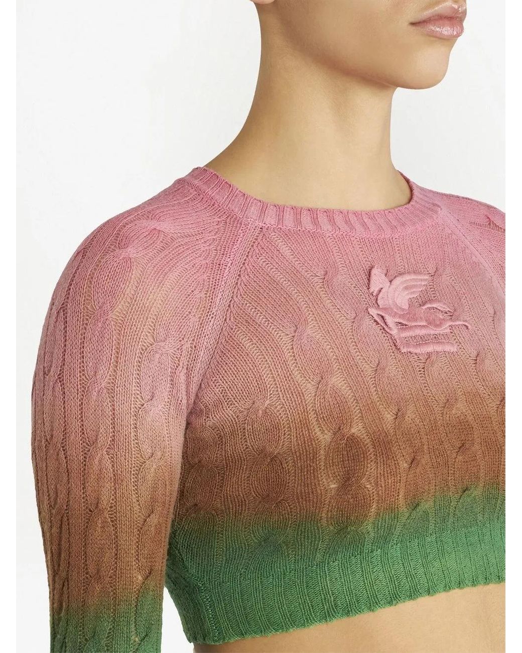 Etro Green Sweaters Red