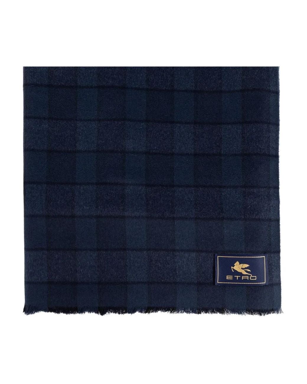 Etro Blue Wool And Cashmere Scarf With Check Motif for men