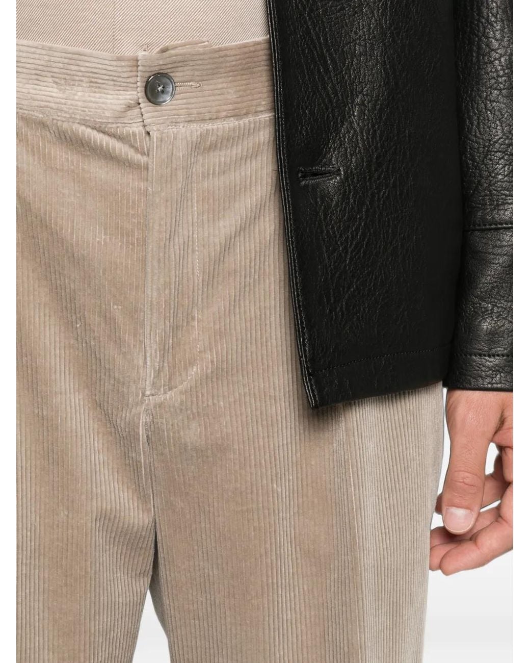 Profuomo Natural Pleated Corduroy Trousers for men