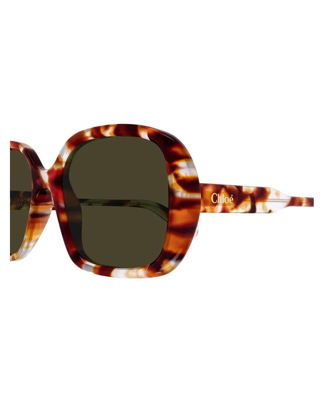 Chloé Brown Round Frame Sunglasses