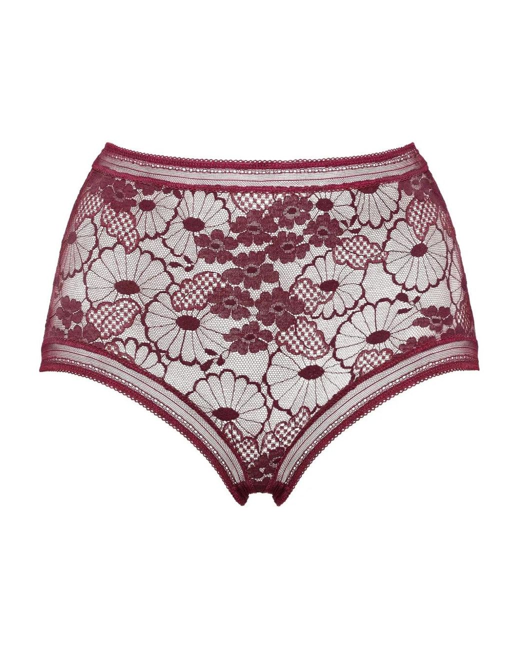 Eres Pink Acacia Briefs