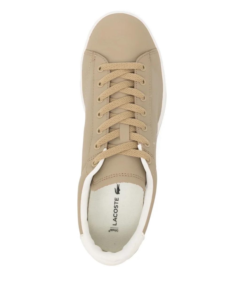 Lacoste Natural Lace-Up Trainers for men