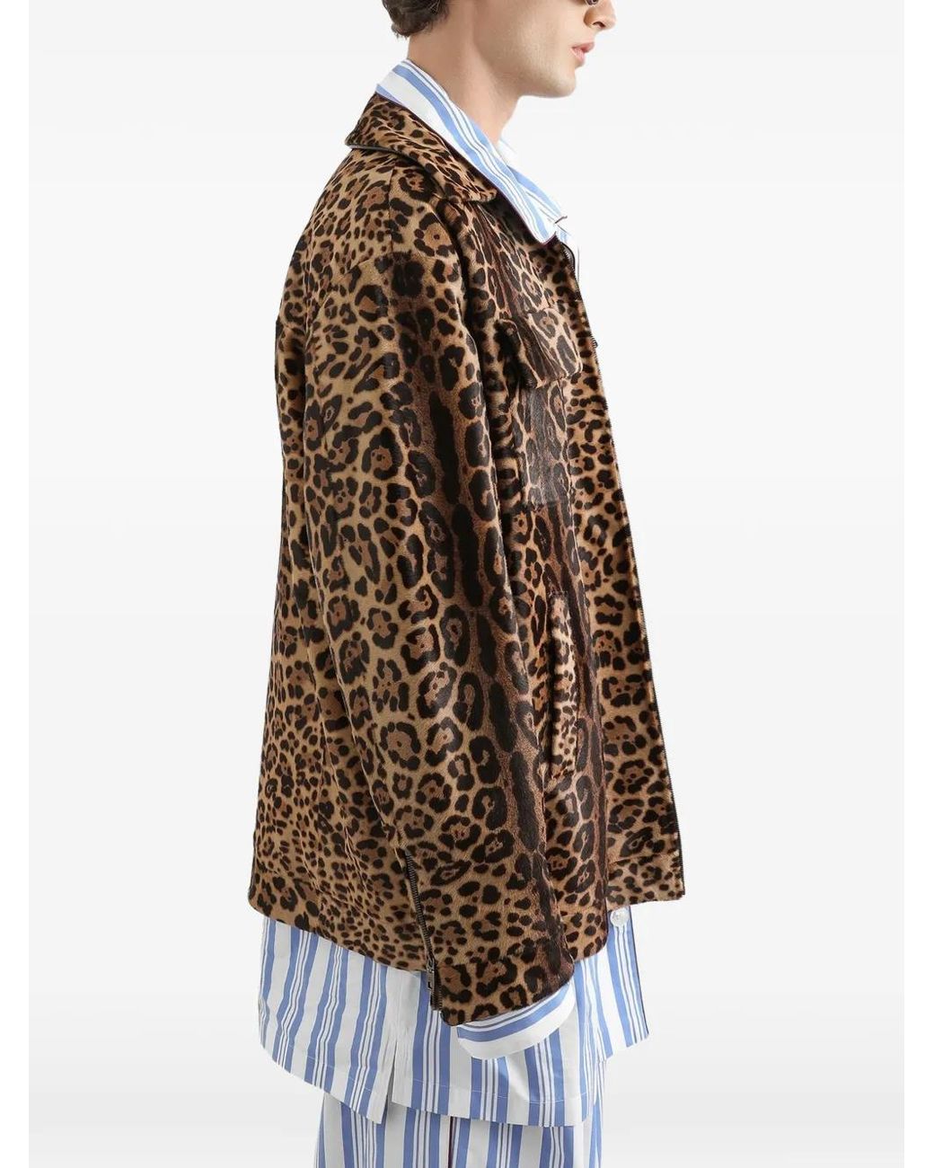 Dolce & Gabbana Brown Leopard-Print Pony Shirt-Style Jacket for men