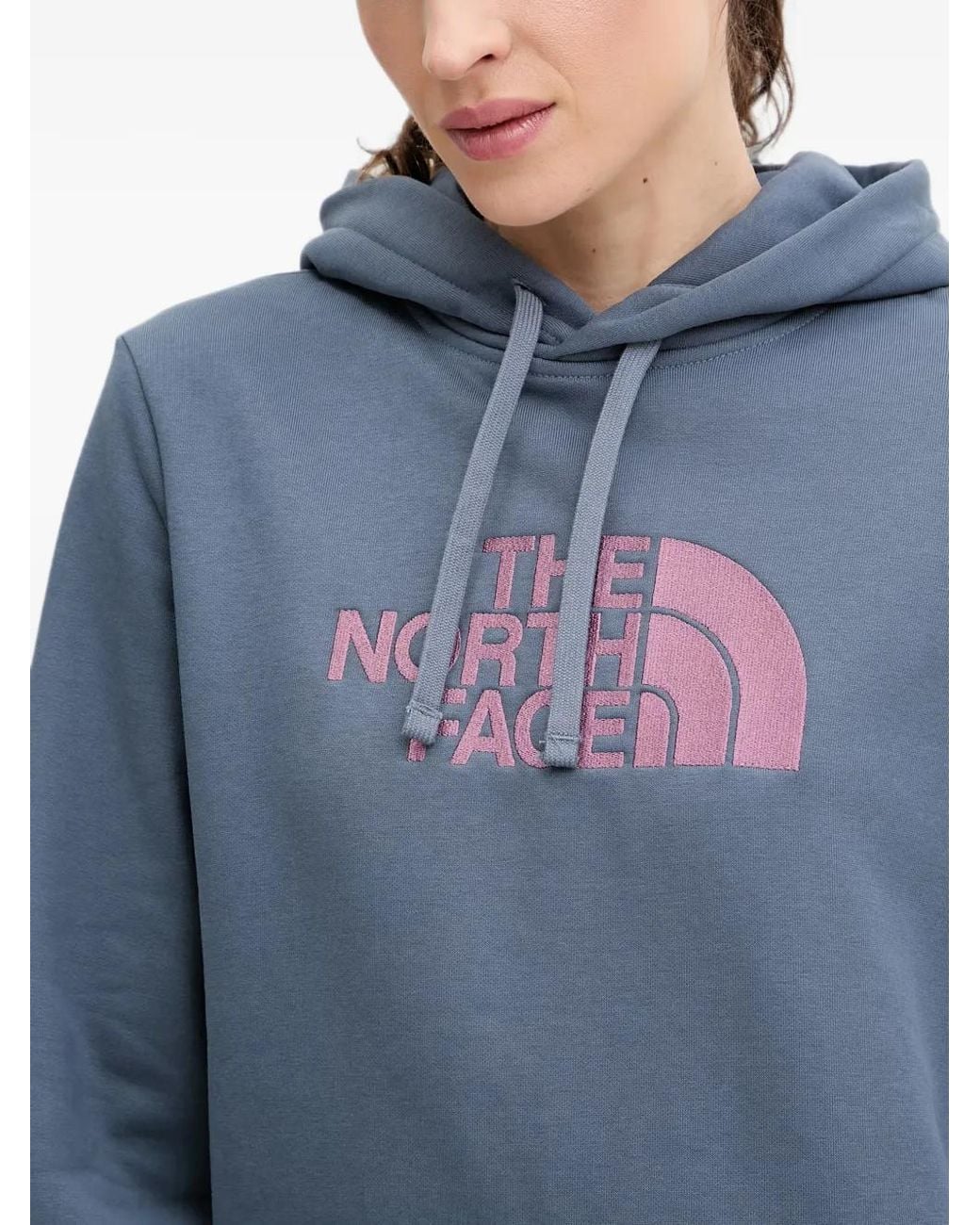 The North Face Blue Drew Peak Hoodie