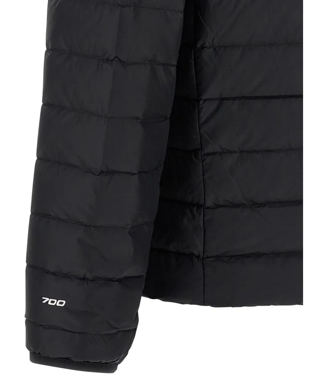 The North Face Blue Classic' Down Jacket for men