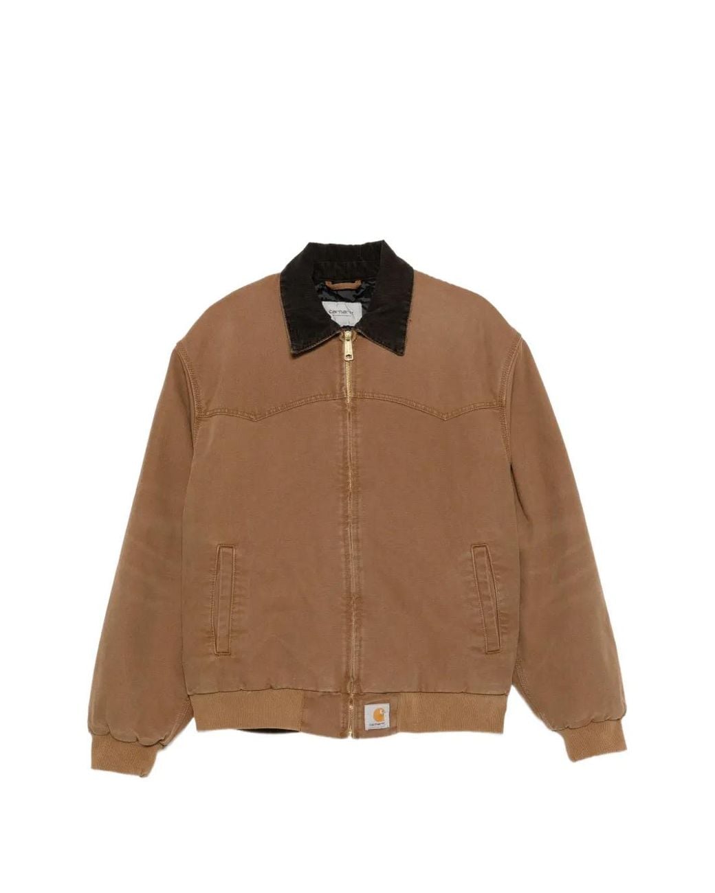 Carhartt Brown Organic Dearborn Canvas Padded Jacket for men