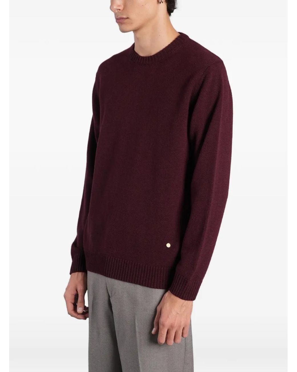 Grayed Purple Ribbed-Trim Sweater for men
