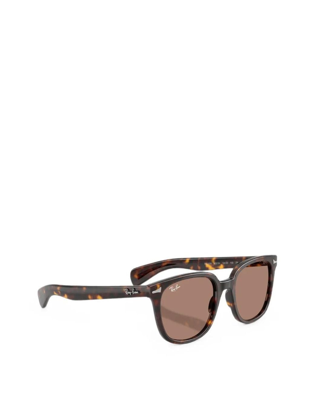 Ray-Ban Brown Brunel Ii Sunglasses