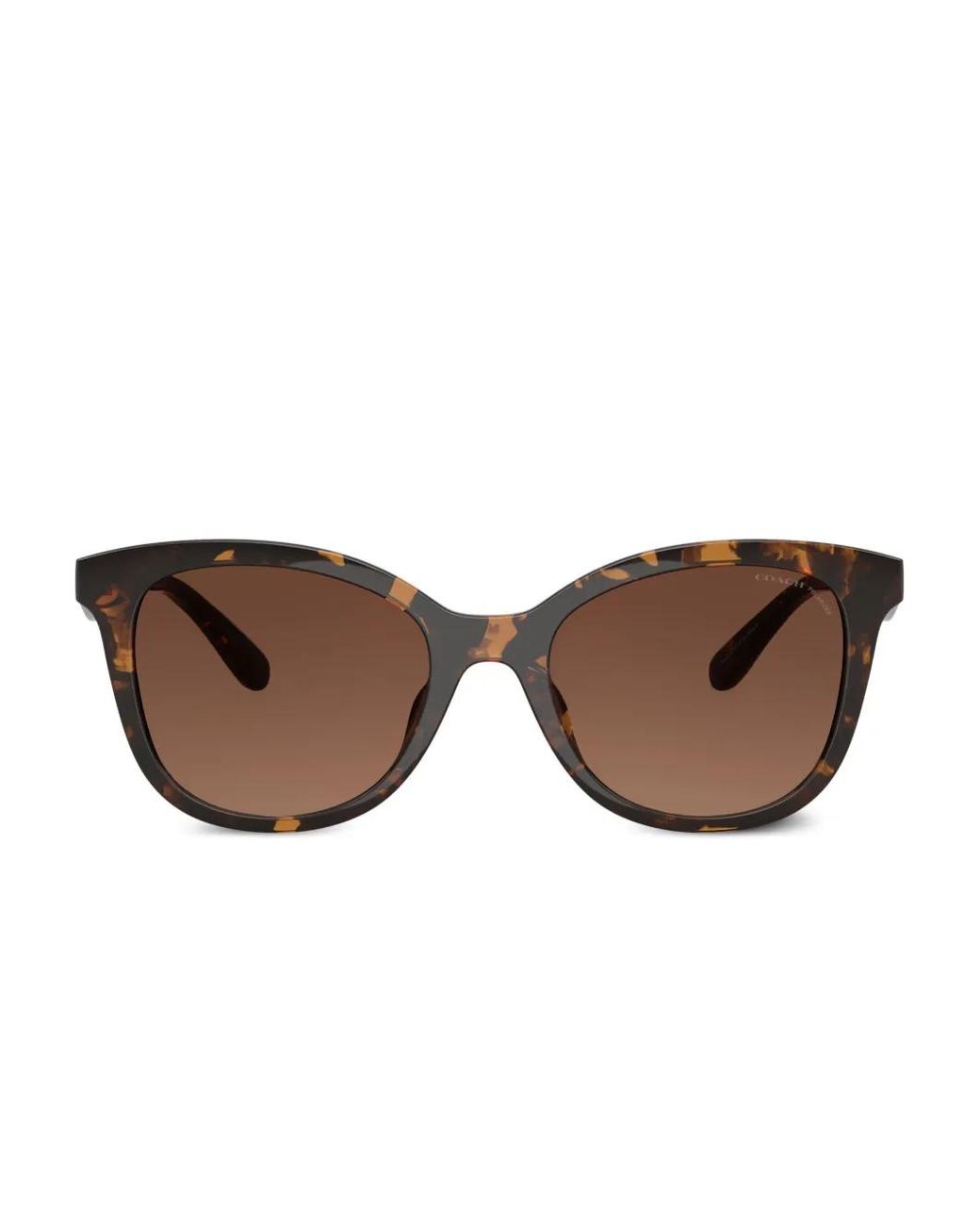 COACH Brown Logo-Plaque Sunglasses