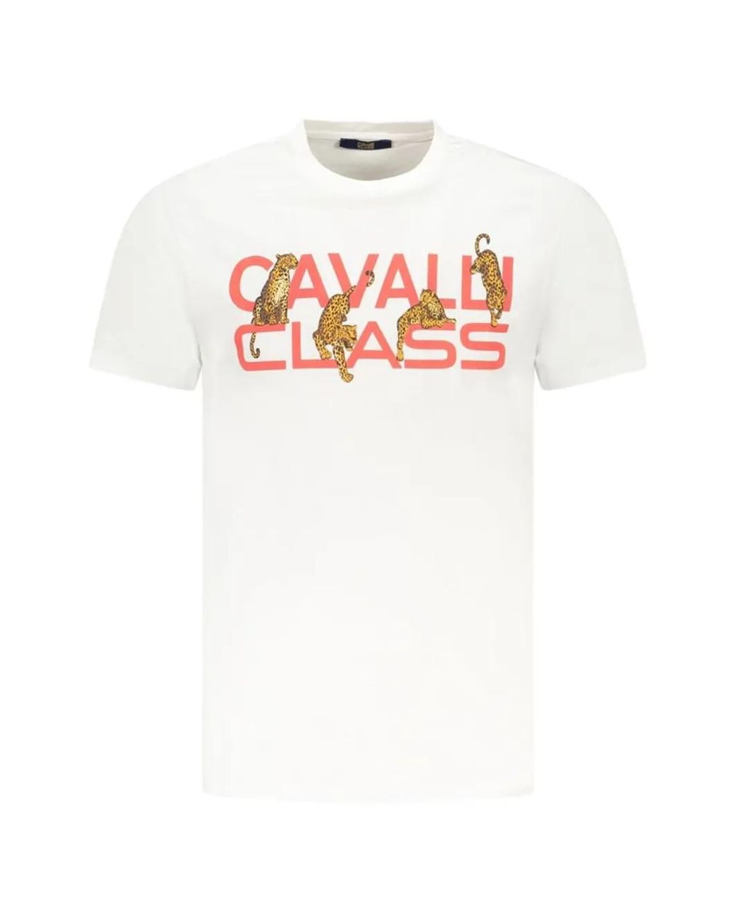 Roberto Cavalli White Leopard-Print Logo T-Shirt for men