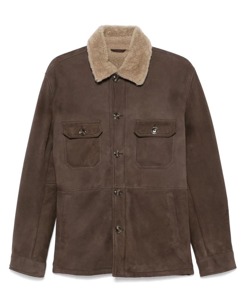 Barba Napoli Brown Suede Jacket for men
