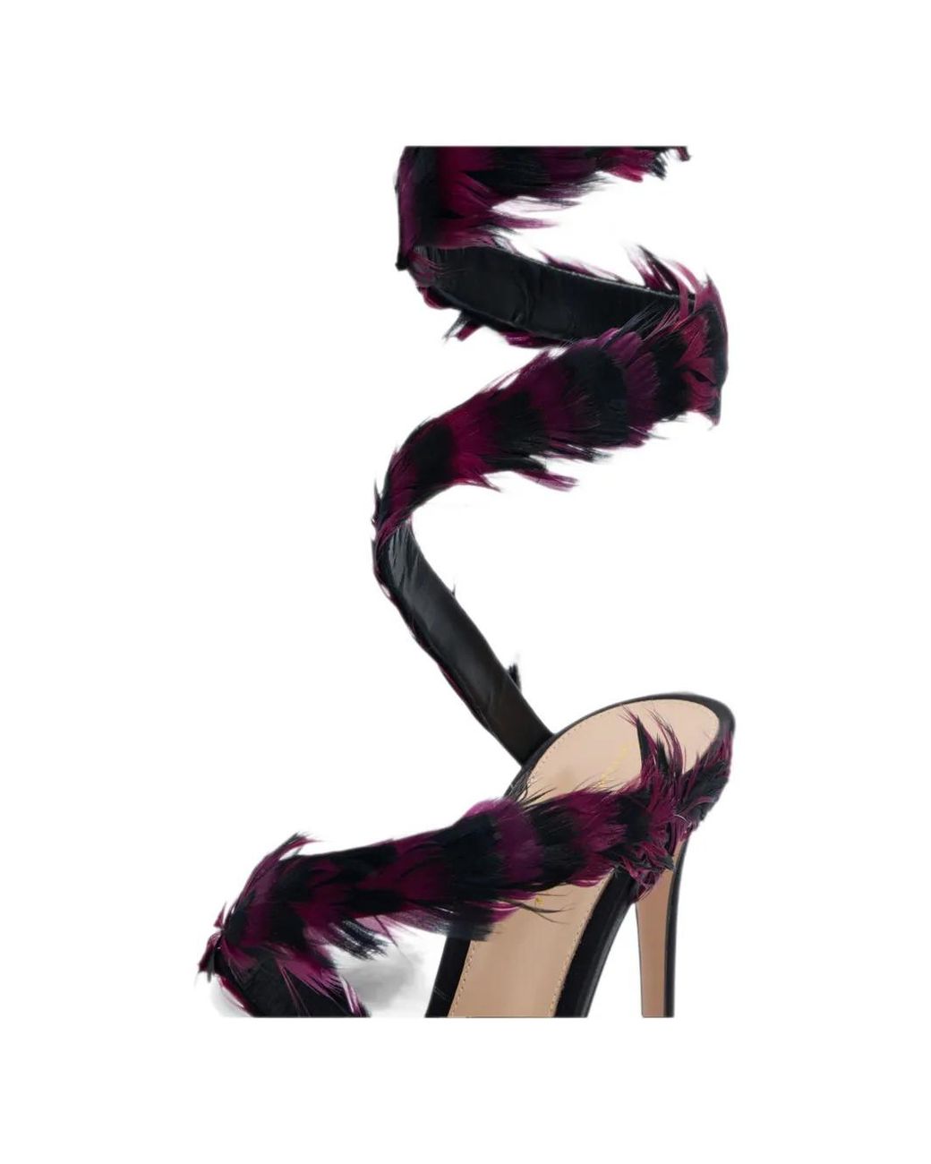 Gianvito Rossi Black Opera Sandals