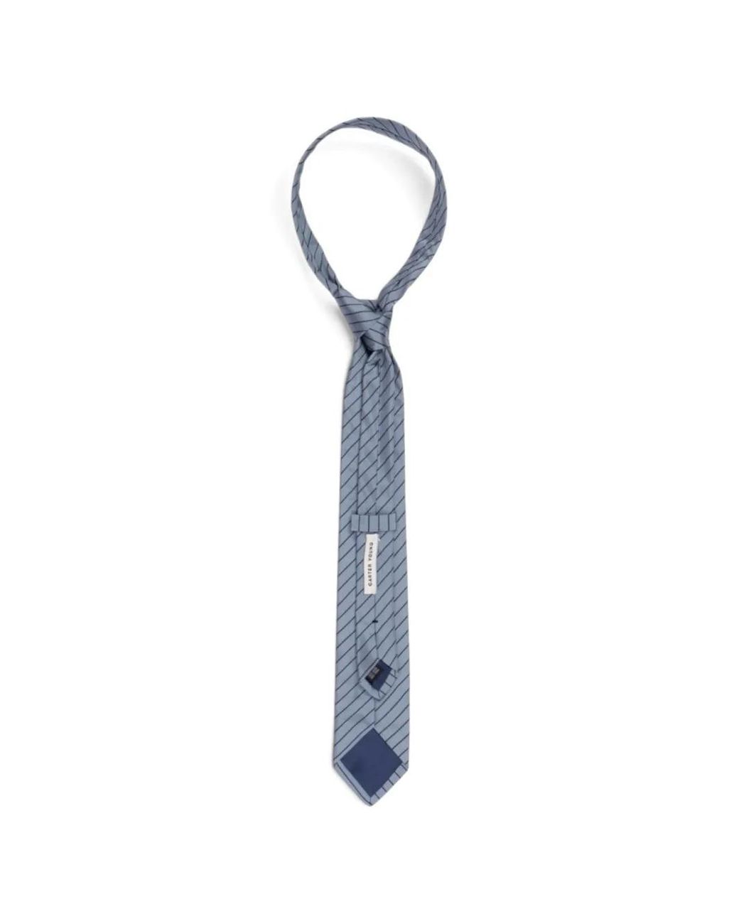 Carter Young Blue Striped-Pattern Silk Tie for men