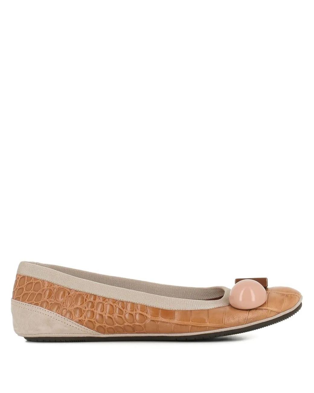 Dove Nuotano Gli Squali Brown Becky Ballerina Shoes