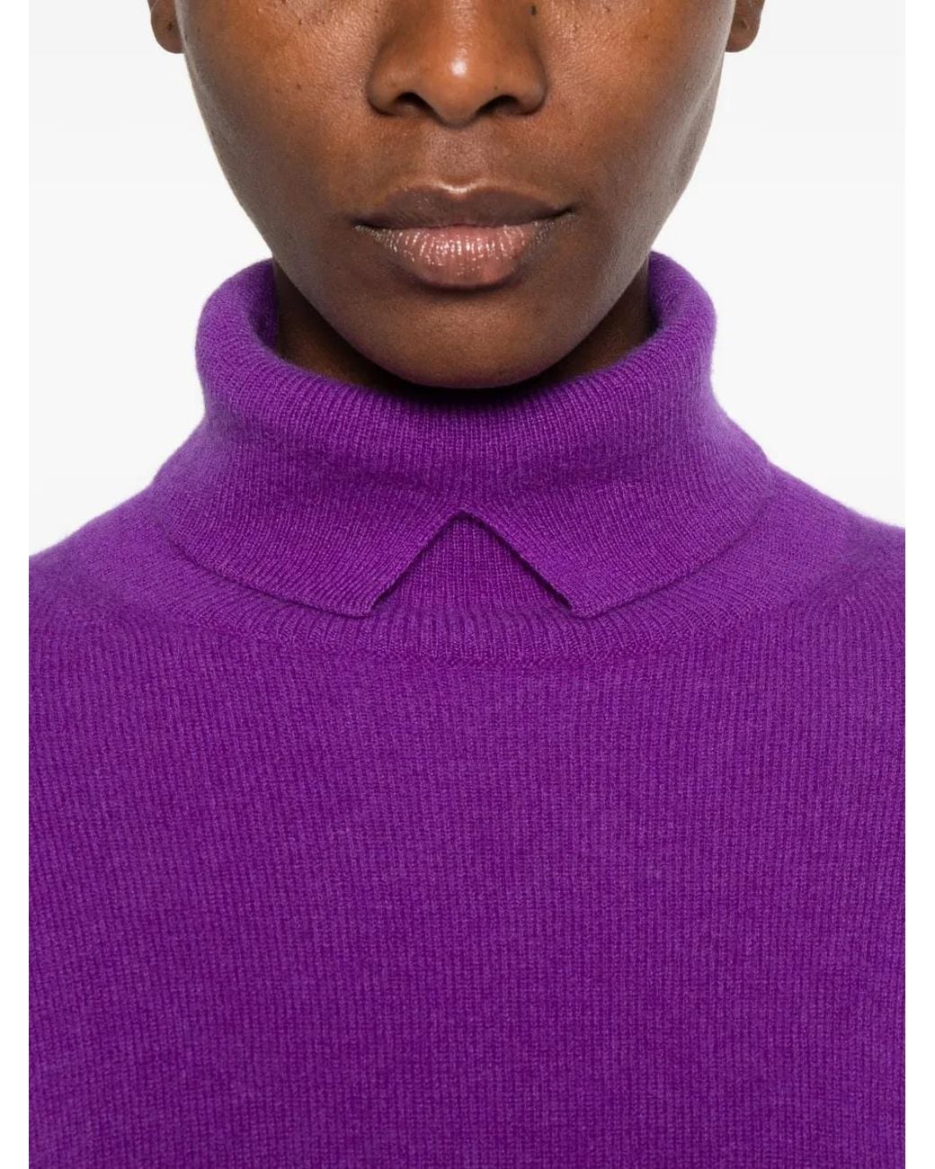 Vanisé Purple Collared Roll-Neck Sweater