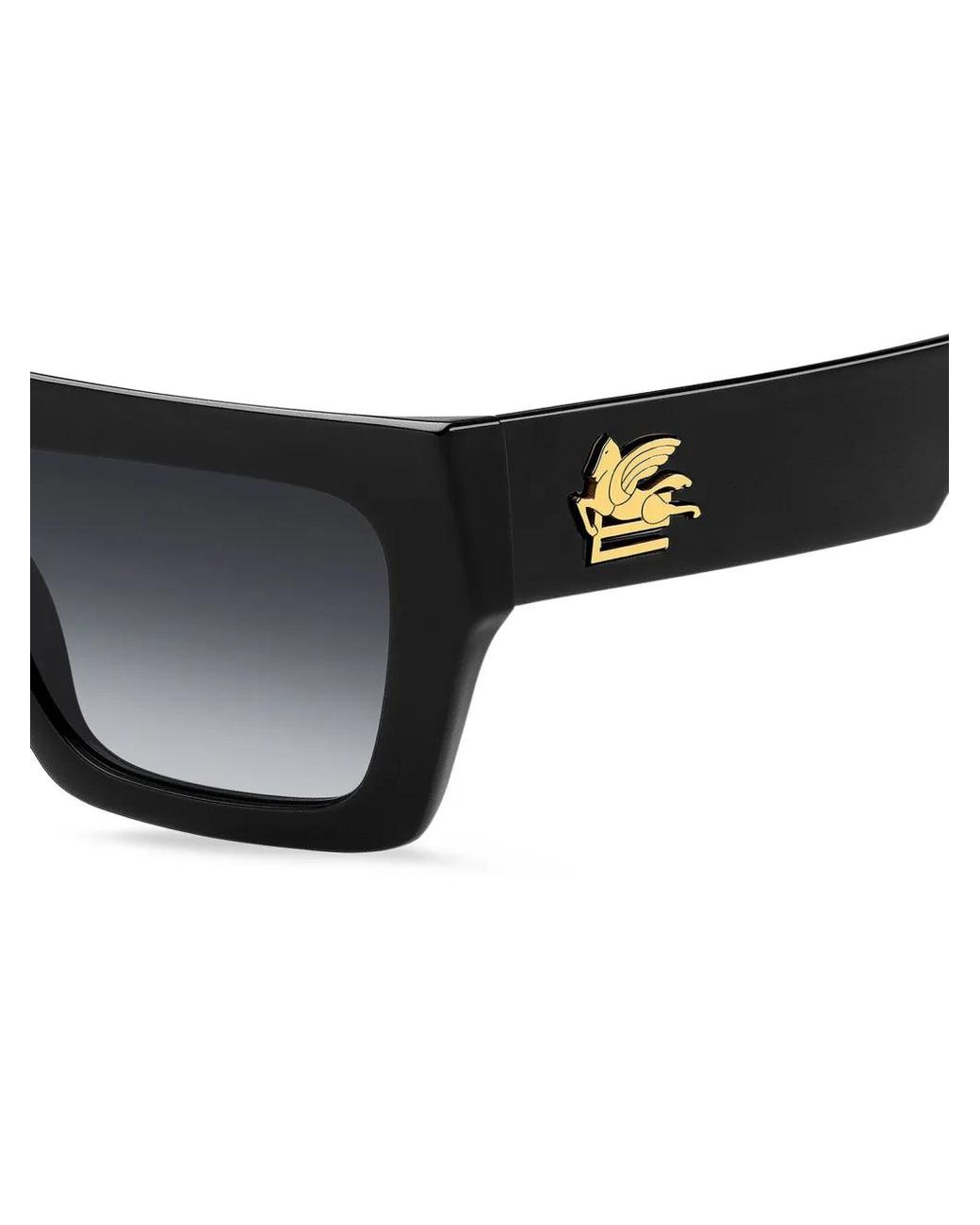Etro Screen Zonnebril in het Black