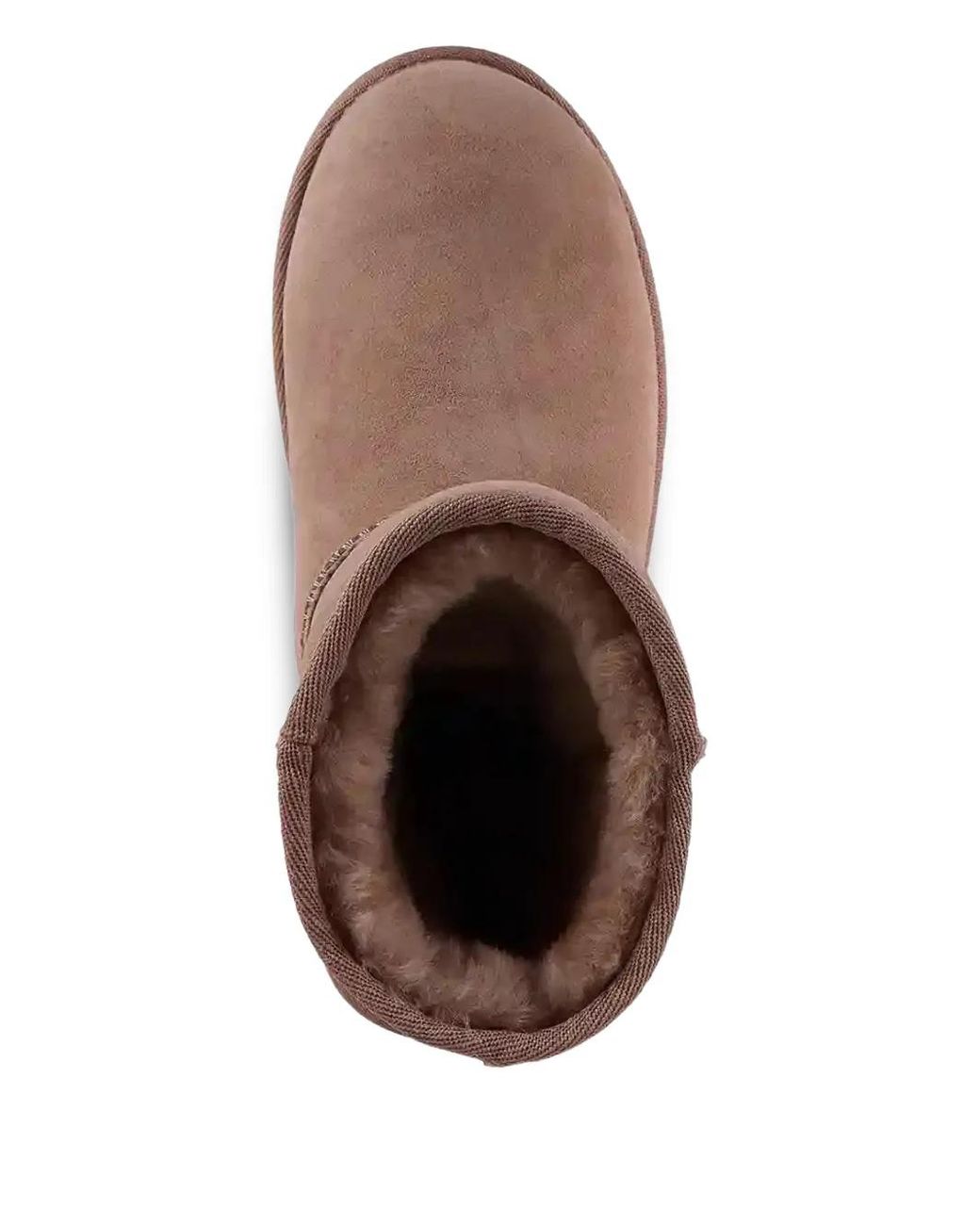 Bottines Stinger EMU en coloris Brown
