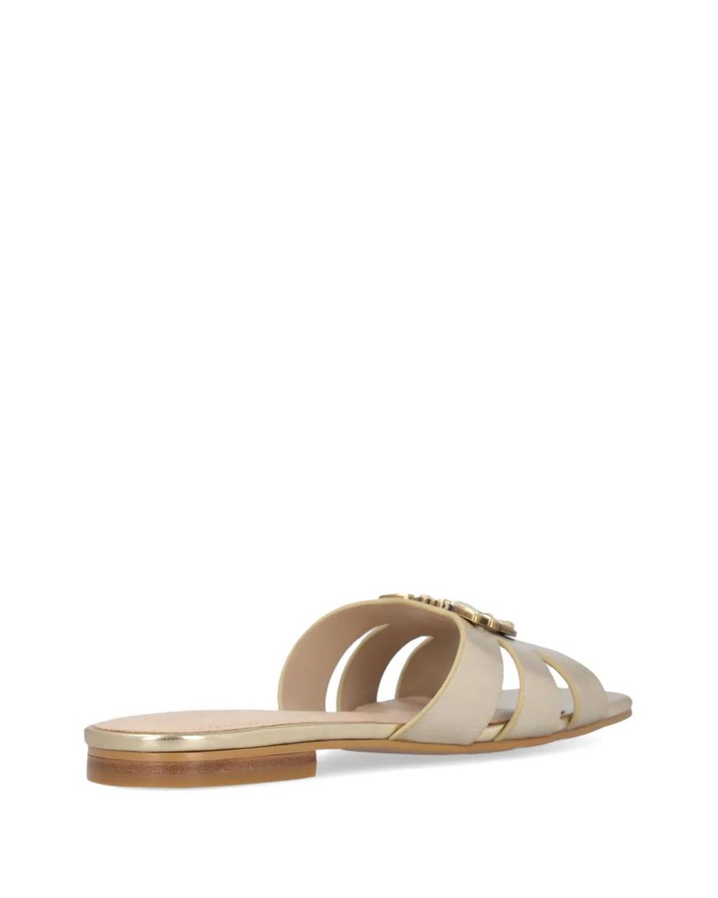 Pinko Multicolor Stylish, Versatile Summer Sandals