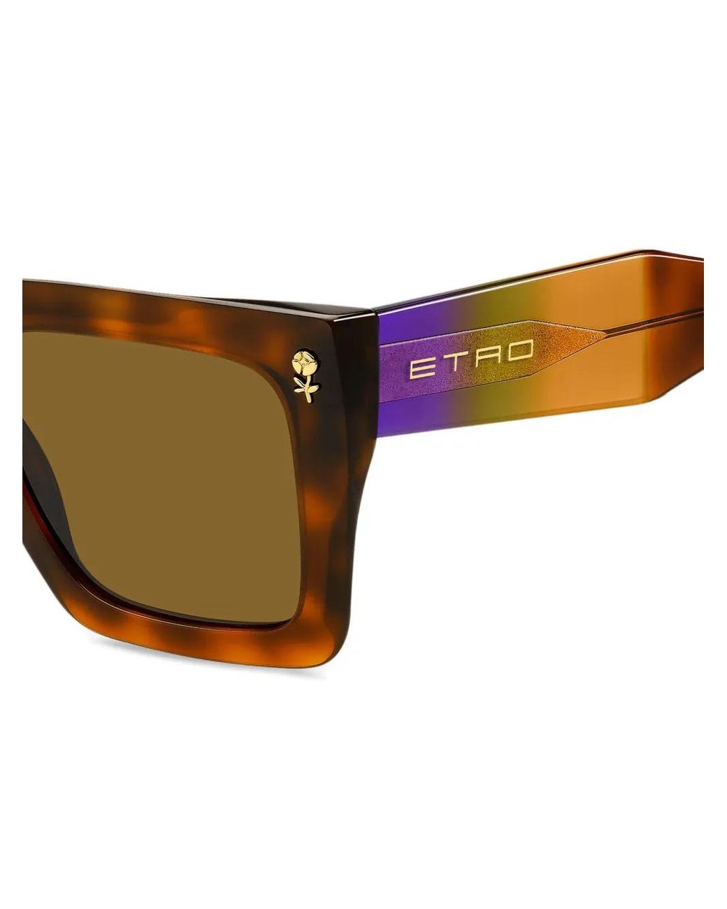 Etro Brown Colourstripes Sunglasses