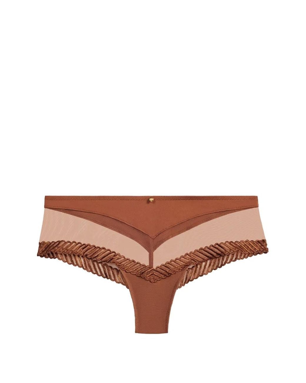 Aubade Brown Sheer Emotion Briefs