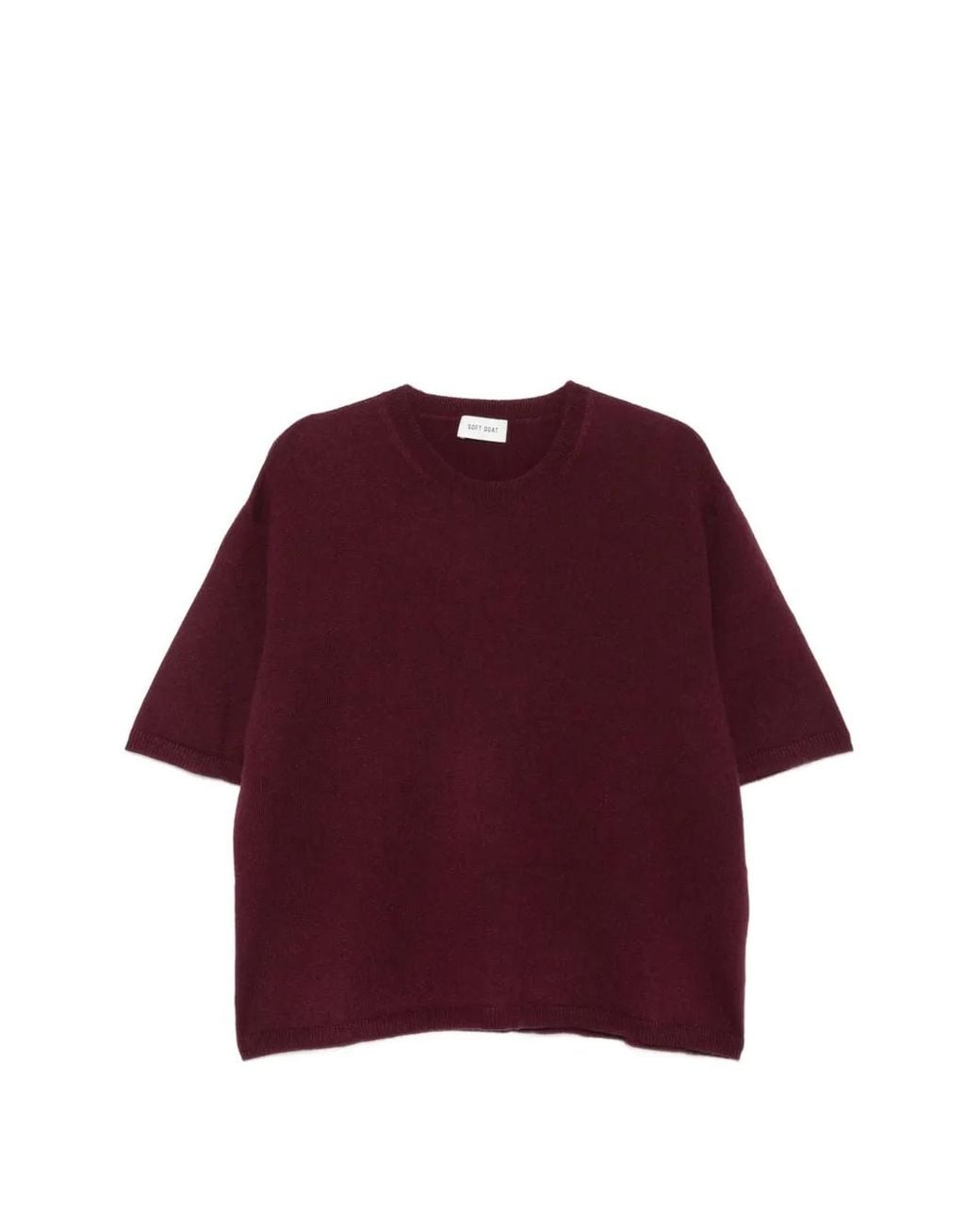 Soft Goat Purple T-Shirt En Cachemire À Manches Courtes