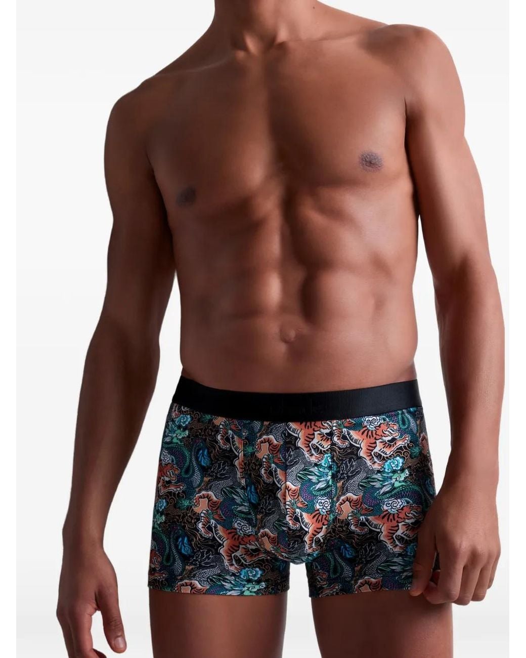 Aubade Tiger Dragon-Print Boxers in Blue for Men | Lyst